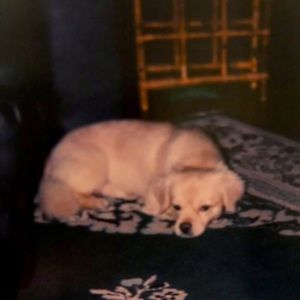 Meet your Posher, Ethel